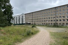 IMG_6446